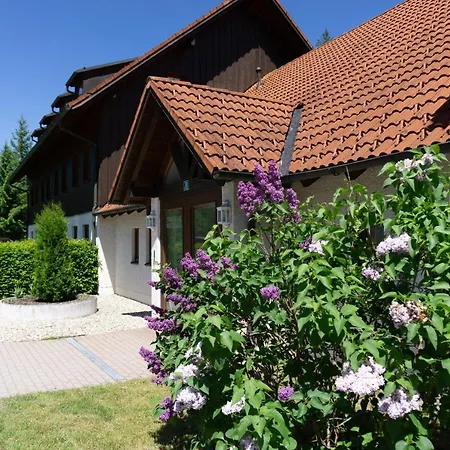 Apartamento Wohlfuehlen Mitten Im Gruenen I Balkon I Nationalpark I Sauna Lindberg